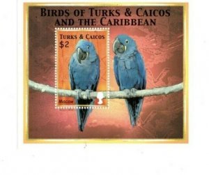 Turks and Caicos - 2000 - Birds - Souvenir Stamp Sheet - MNH (Scott#1302)