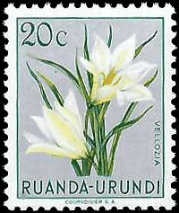 RUANDA-URUNDI   #116 MNH (3)