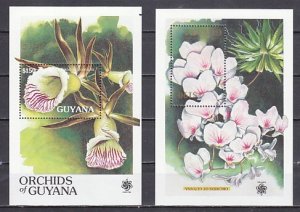 Guyana, Scott cat. 2373 & 2377. Orchids of Guyana on 2 s/sheets ^