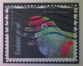 United States, Scott 5799d, used(o), 2023,  Thick Billed Parrot, (63¢)