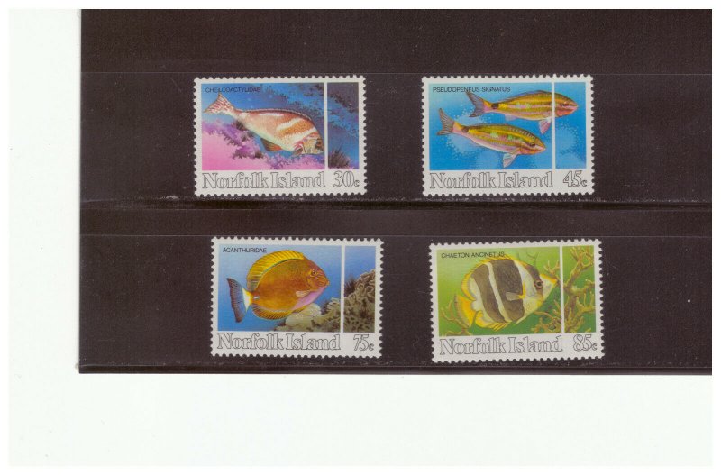NORFOLK SC.339-42 1984 REEF FISH COMPLETE SET OF 4 MNH YE10
