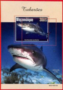 A4242 - MOZAMBIQUE - ERROR MISPERF, Souvenir sheet: 2019, Sharks, Marine life