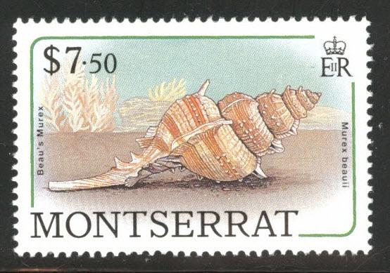 Montserrat Scott 695 MNH** sea shell 1988 stamp