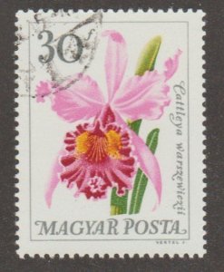 Hungary 1707 Orchid