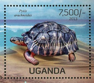 Turtles Stamp Pyxis Arachnoides Caretta Testudo Kleinmann S/S MNH #3009 / Bl.414 