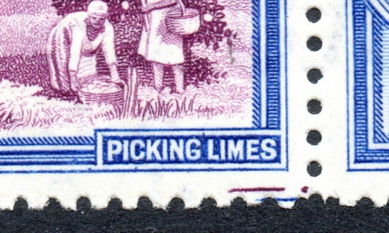 1942 Dominica Sg 103a 2½d Slight Doubling of Top Frame Line & Guide Lines UMM