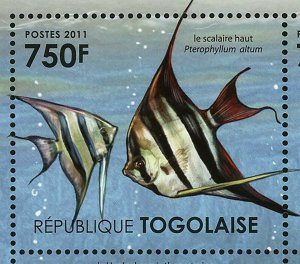 Ecosystem of Victoria Lake Stamp Freshwater Angelfish Fish S/S MNH #4177-4180