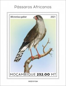 Mozambique - 2021 African Birds, Goshawk - Stamp Souvenir Sheet - MOZ210112b4