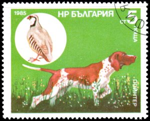 Bulgaria 3128 - Cto - 5s Pointer / Partridge (1985)