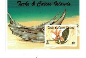 Turks and Caicos - 1995 - Orchids - Souvenir Sheet - MNH