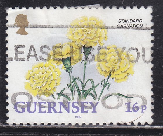 Guernsey 486 Standard Carnation 1992