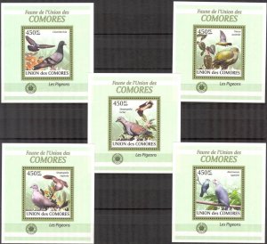 {326} Comoros 2009 Birds Pigeons 5 S/S Deluxe MNH**