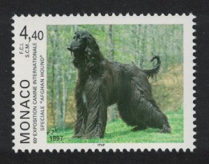 Monaco Afghan Hound Dog 1997 MNH SG#2299