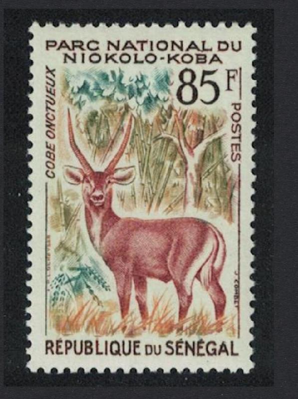 Senegal Bushbuck Antelope 85f SG#233