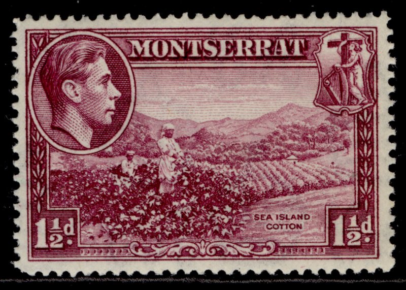 MONTSERRAT GVI SG103a, 1½d purple, M MINT.