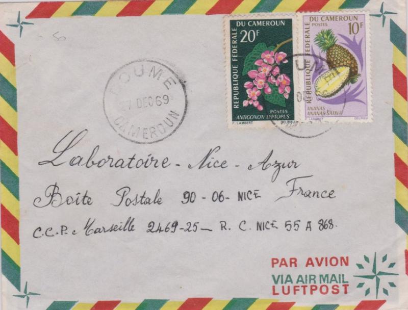 Cameroun 20F Mountain Rose and 10F Pineapple 1969 Doume, Cameroun Airmail to ...