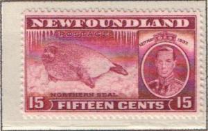 Newfoundland 239 - Unused, Never Hinged