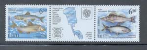 Estonia Sc 403 2000  Lake Peipus Fish stamp mint NH