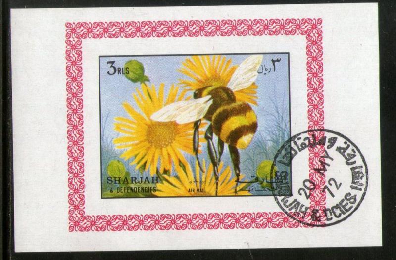 Sharjah - UAE Honey Bee Insect  Fauna Flora M/s Cancelled # 3958