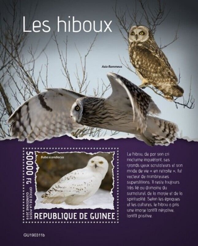 Guinea - 2019 Owls on Stamps - Stamp Souvenir Sheet - GU190311b