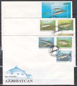 Azerbaijan, Scott cat. 386-391, 392. Freshwater Fish on 3 First day covers. ^