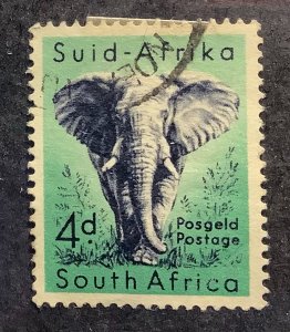 South Africa 1954 Scott 205 used - 4p, elephant