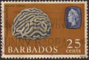 Barbados 1965 Sc#276, SG#331 25c Brown Brain Coral USED.