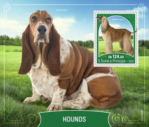 St Thomas - 2021 Afghan Hound Dogs - Stamp Souvenir Sheet - ST210508b