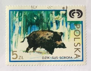 Poland 1973  Scott 1978 used - 5.Zł,  Native games, Wild Boar