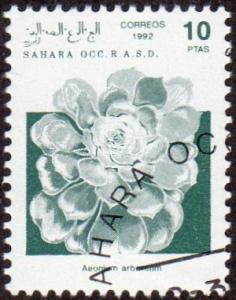 Western Sahara (Unlisted) - Cto - 10pt Aeonium Plant (1992)