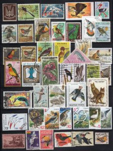 Birds Stamp Collection Mint/Used Owls Toucans Ducks Wildlife ZAYIX 0424S0315