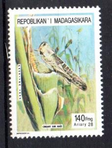 MADAGASCAR - INSECTS - CRICKET - 1995 - 