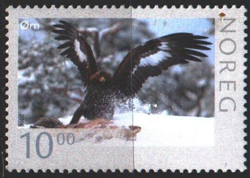 Norway. 2006. 1575 from the series. Eagle, birds. MVLH.