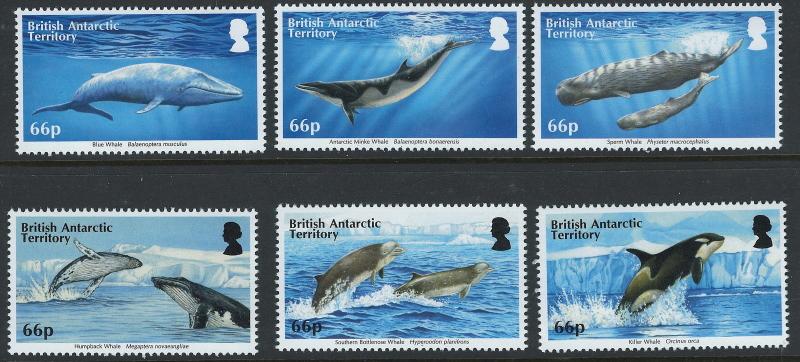 British Antarctic Territory Scott 501-506!Whales! MNH!