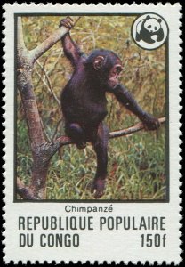 Congo 1978 Sc 453-458 WWF Hippo Rhinoceros Monkey Okapi CV $36.25