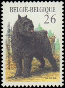 Belgium #1243-1246, Complete Set(4), 1986, Dogs, Never Hinged