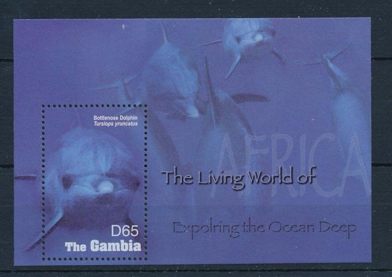 [32221] Gambia 2005 Marine Life Dolphin MNH Sheet