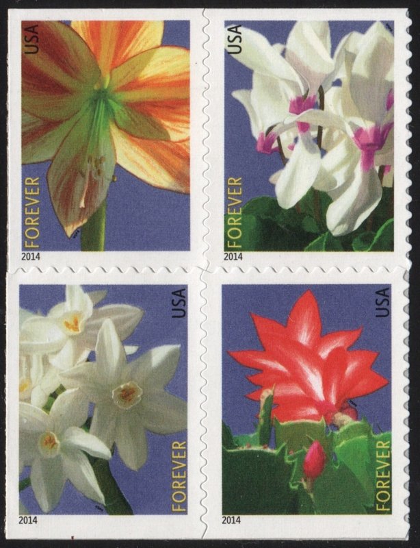 SC#4862-65 (49¢) Winter Flowers Block of Four (2014) SA