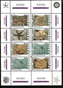 ABKHAZIA RUSSIA LOCAL SHEET FOSSILS