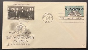 NATIONAL ACADEMY OF SCIENCES #1237 OCT 14 1963 WASHINGTON DC FIRST DAY COVER BX4