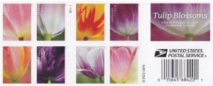 USPS 2023 Tulip Blossom Forever First Class Postage Stamps  (total 700 pcs)