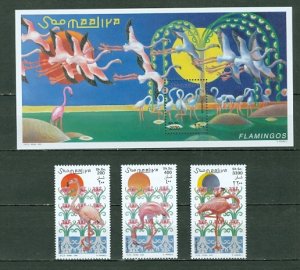 SOMALIA 1998 BIRDS-FLAMINGOS  BEAUTIFUL UNLISTED SET &  SOUV. SHEET...MNH