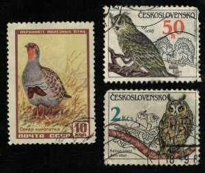 Birds, (3348-T)