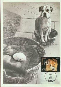 HNLP Hideaki Nakano Greeting Card Spay Neuter 3671 Dog Doesn't Seem Fair 