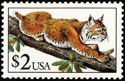 2482 Bobcat F-VF MNH single stamp