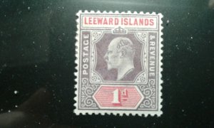 Leeward Isl #21 mint hinged e206 10059