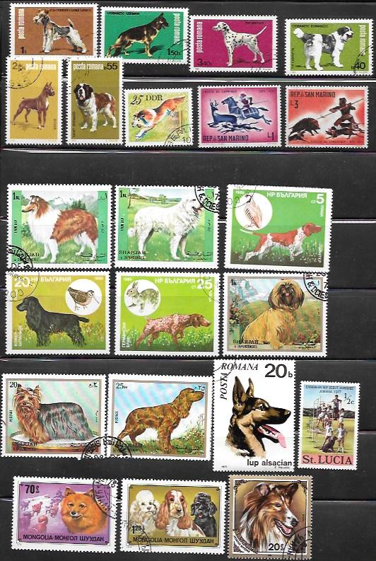 Topical Stamps - Dogs  Romania, Bulgaria, San Marino . . . .