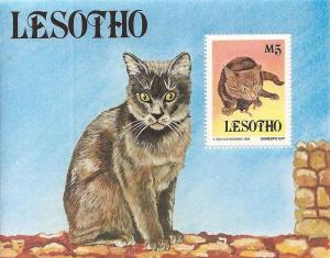 Lesotho - 1993 Cats - Stamp Souvenir Sheet - Scott #992A