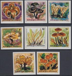 XG-AN971 RWANDA - Mushrooms, 1980 Nature, 8 Values Imperf. MNH Set