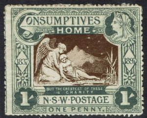 NEW SOUTH WALES 1897 QV  CHARITY 1D